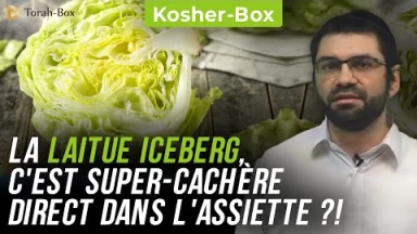 Vérification des aliments : la laitue iceberg