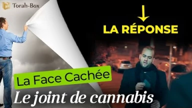 La Réponse au Jeu "La Face Cachée - Le Cannabis" (le gagnant est... Yoav C.)