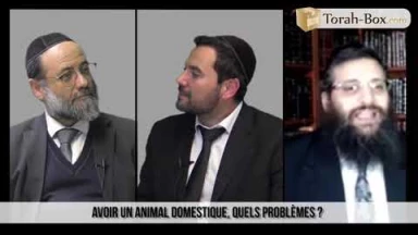 Rabbins dans la Cité - Avoir des animaux domestiques