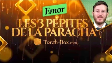 Les 3 Pépites de la Paracha Emor