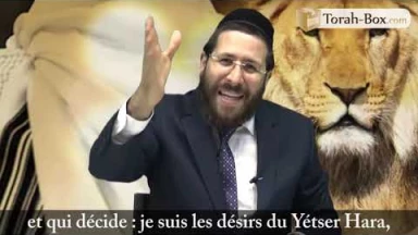 Ki-Tetsé selon le Or Ha‘haïm