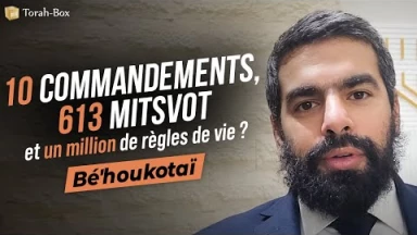 Le Message de la Paracha - Bé'houkotaï : 10 commandements, 613 Mitsvot & un million de règles de vie 