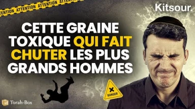 "Cette Graine Toxique Qui Fait Chuter Les Plus Grands Hommes..." Kitsour.