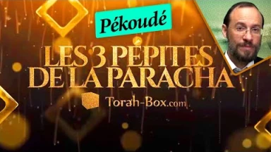 Les 3 Pépites de la Paracha Pékoudé