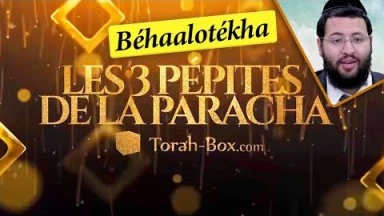 Les 3 Pépites de la Paracha Béhaalotékha