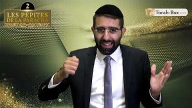 Les 3 Pépites de la Paracha 'Houkat