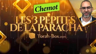 Les 3 Pépites de la Paracha Chémot