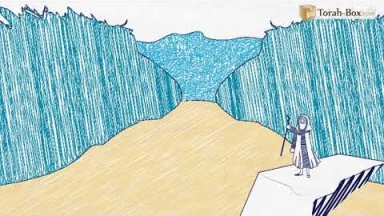 Draw My Paracha : Bechala'h