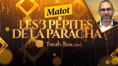Les 3 Pépites de la Paracha Matot