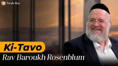 La Paracha Ki-Tavo avec Rav Rosenblum
