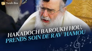 Hakadoch Baroukh Hou, prends soin de Rav 'Hamou (Moshé Elmalem)