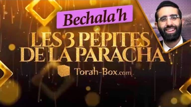 Les 3 Pépites de la Paracha Béchala'h