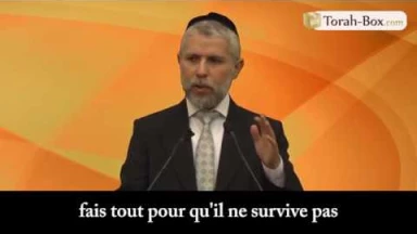 [Vidéo] Condamnation du soldat Azaria : et d'après la Torah ? (Rav Zamir)