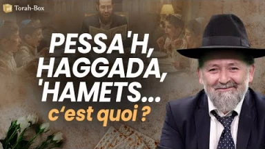 Torah Basics : Pessa'h, c'est quoi ?