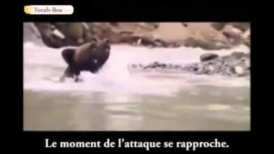 [Vidéo] Contre le Yetser Hara, une seule solution