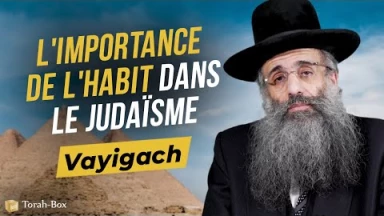 Le Message de la Paracha Vayigach : Le secret de l'habit