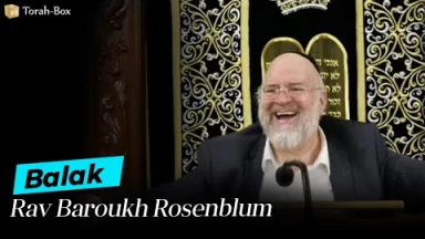 La Paracha Balak avec Rav Rosenblum