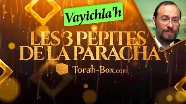 Les 3 Pépites de la Paracha Vayichla'h