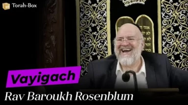 La Paracha Vayigach avec Rav Rosenblum
