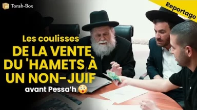 Au cœur du monde religieux - Les coulisses de la vente du 'Hamets
