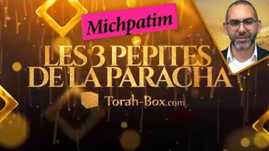 Les 3 Pépites de la Paracha Michpatim