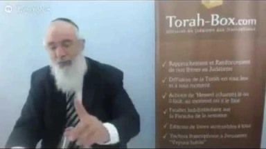 Live spécial célibataires - retransmission des cours