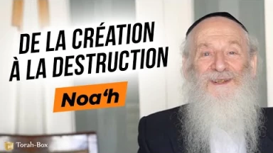 Noa'h : De la Création à la Destruction