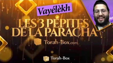Les pépites de la Paracha Vayélèkh