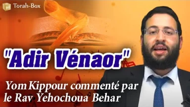 Yom Kippour commenté par le Rav Yehochoua Behar : "Adir Vénaor"