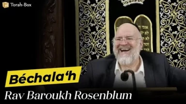 La Paracha Béchala'h avec Rav Rosenblum