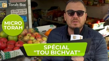 Micro-Torah spécial "Tou Bichvat"
