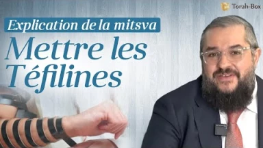 Explication de la Mitsva de mettre les Téfilines
