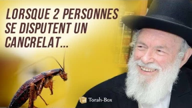 Lorsque deux personnes se disputent un cancrelat...