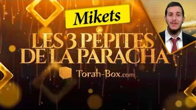 Les 3 Pépites de la Paracha Mikets
