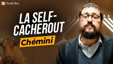 Le Message de la Paracha - Chémini : La self-Cacheroute