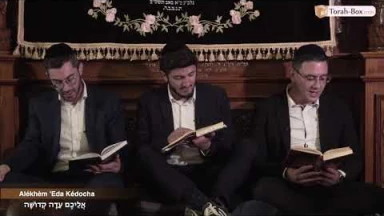 Kinot de Ticha Béav n°15 : Alékhèm 'Eda Kédocha / אֲלֵיכֶם עֵדָה קְדוֹשָׁה