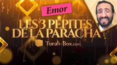 Les 3 Pépites de la Paracha Emor