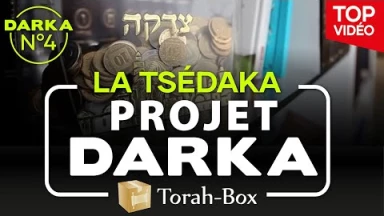 Projet Darka n°4 : La Tsédaka