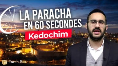 La Paracha en 60 secondes - Kedochim