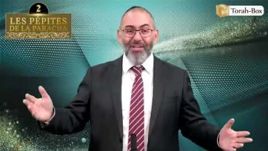 Les 3 Pépites de la Paracha Vayéchev