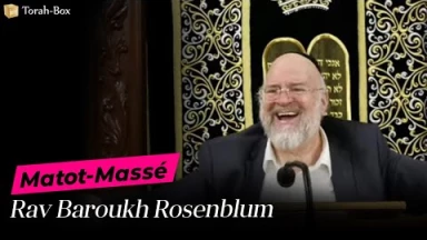 La Paracha Matot-Massé avec Rav Rosenblum