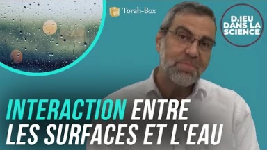 D.ieu dans la Science ! Nanotech #2 - Interaction entre les surfaces et l'eau