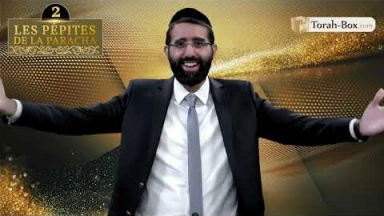 Les 3 Pépites de la Paracha Réé