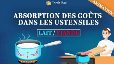 Mélanges lait/viande : Absorption des goûts dans les ustensiles