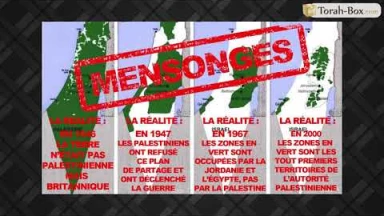On en parle : La désinformation