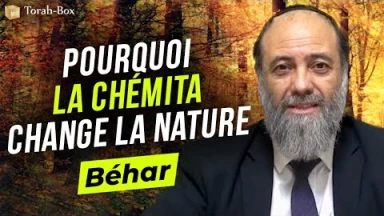 Le Message de la Paracha Béhar : Pourquoi la Chémita change la nature