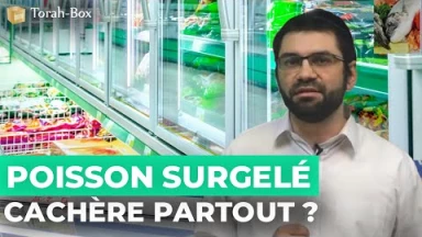 Kosher-Box : acheter du Poisson Surgelé partout, cachère ?