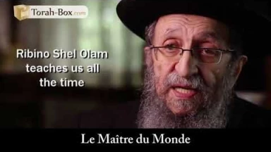 #Coronavirus : le message de Rav Chmouel Kamenetsky des USA