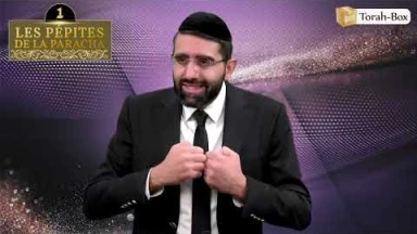 Les 3 Pépites de la Paracha Chémot