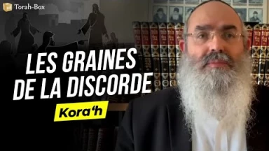 Le Message de la Paracha - Kora'h : Les graines de la discorde (Rav Shlomo Sabbah)